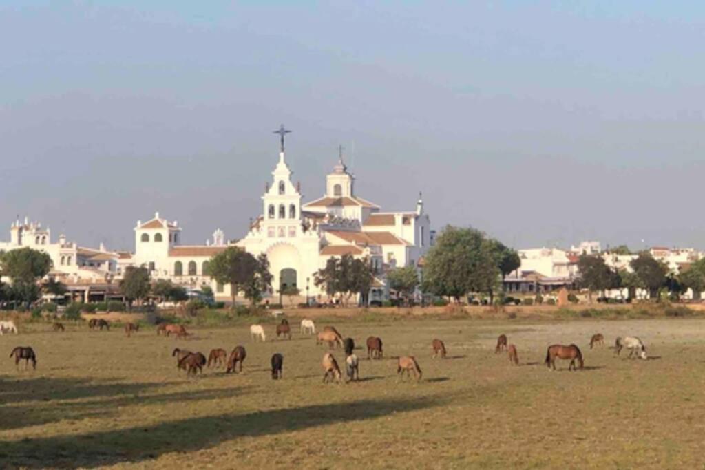 Casa Luz Del Rocio Refugio Con Alma A 8 Minutos De La Ermita Apartment Bagian luar foto
